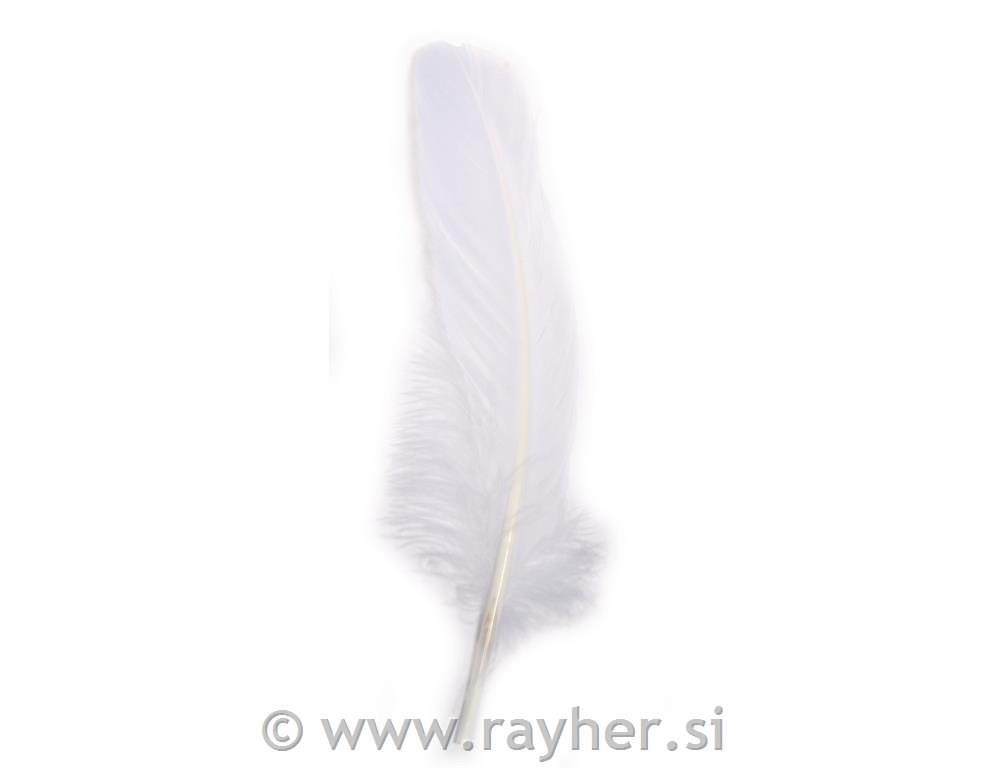Goose feather, white, 16-20cm, tab-bag 8