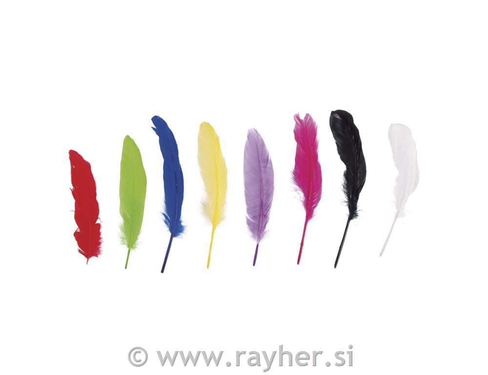 Perje gosje, barvasto, 16-20cm, 8kos