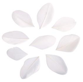 Perje, rezano, belo, 5-6cm, 36 kos