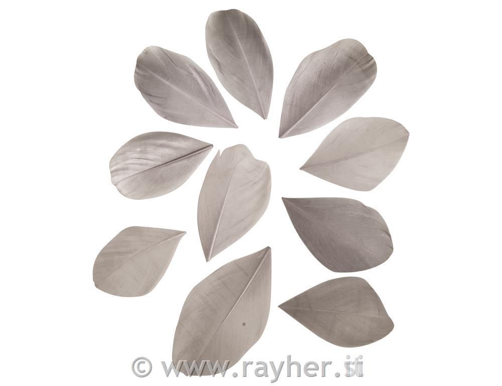 Perje, rezano, sivo, 5-6cm, 36 kos