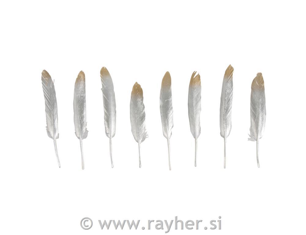 Perje dekorativno, zlato/srebrno 12-15 cm , 8 kosov