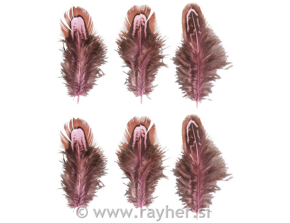 Feathers, pink/brown, 5-10cm, tab-bag 6pcs