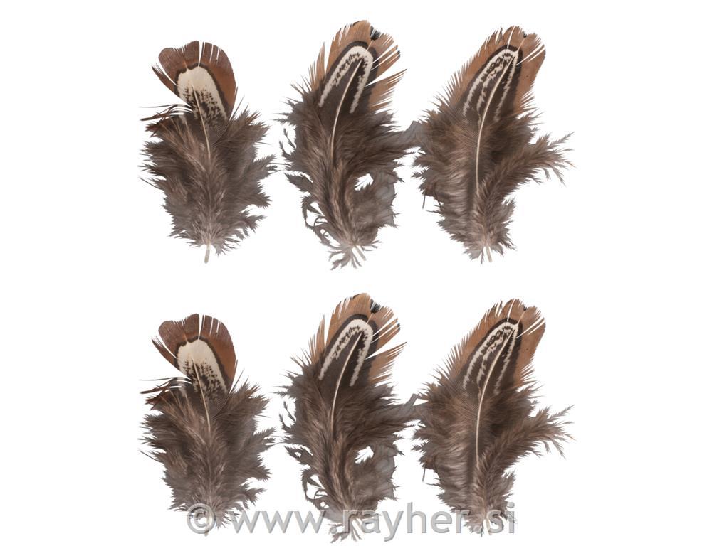 Perje, rjavo, 5-10cm, 6 kosov