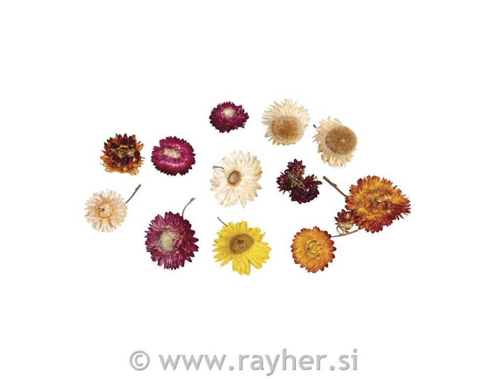 Suho cvetje, sort, 10g