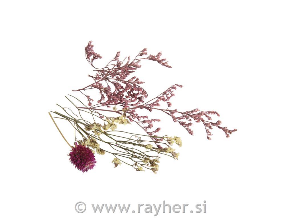 Mešanica suhega cvetja, nežno roza