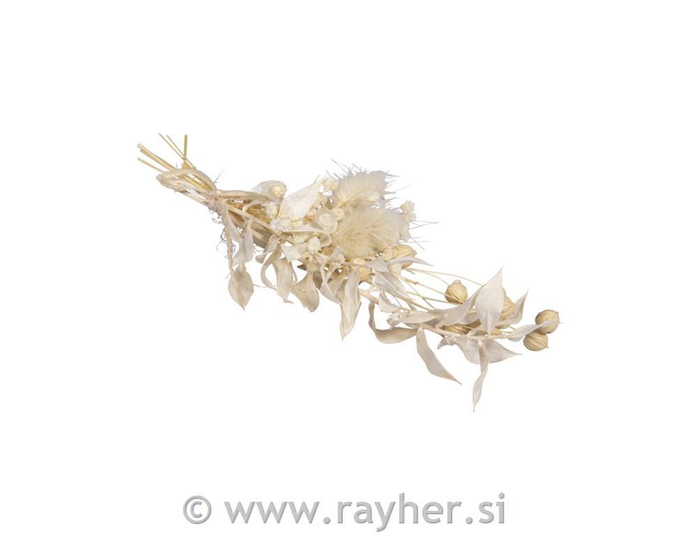 Šopek suhega cvetja, 18-20 cm, ivory