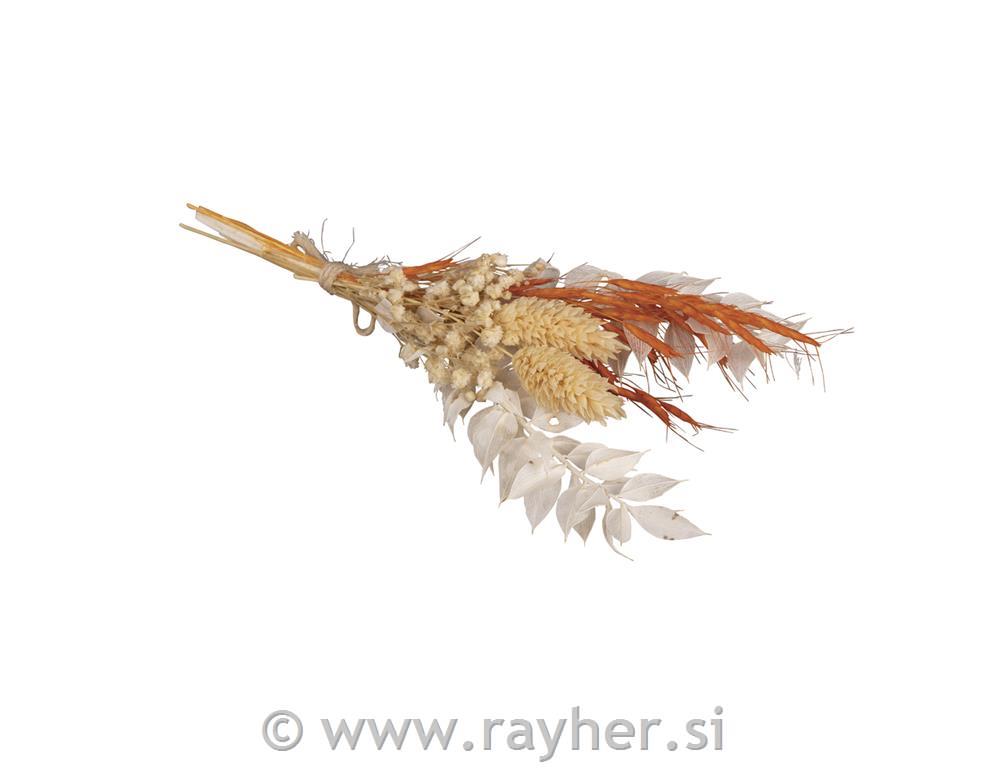 Šopek suhega cvetja, 18-20 cm