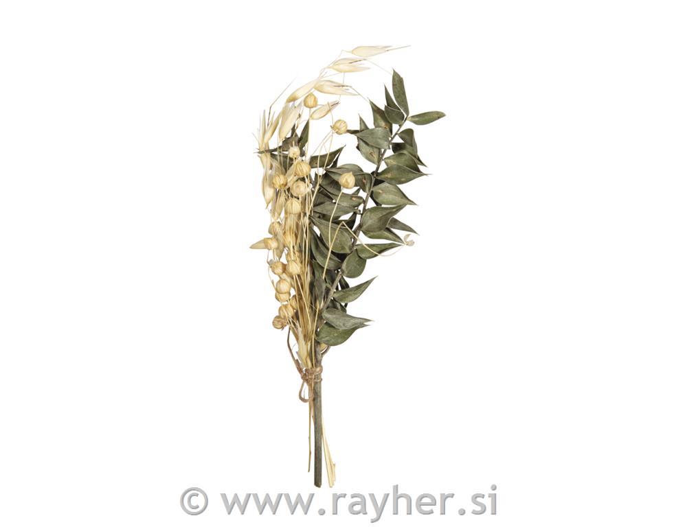 Šopek suhega cvetja, 18-20 cm, zelen-natur