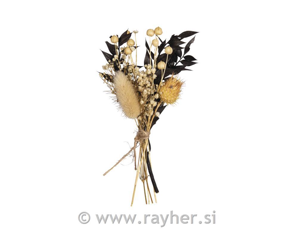 Šopek suhega cvetja, 18-20 cm, črn