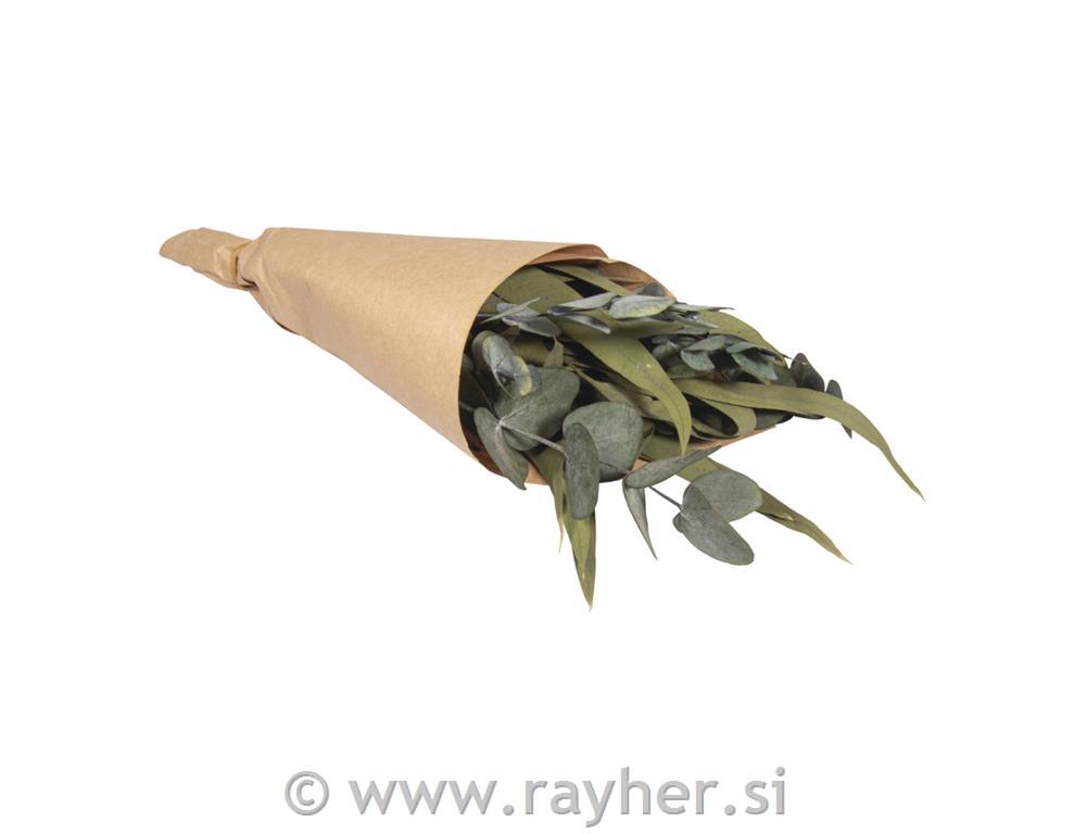 Eucalyptus bunch with paper sleeve30-35cm, assorted