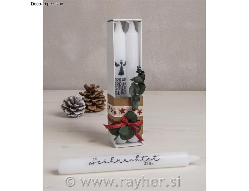 Eucalyptus bunch with paper sleeve30-35cm, assorted