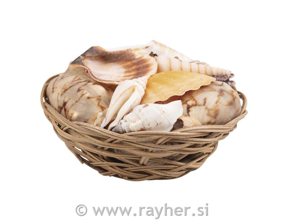 Školjke v košarici