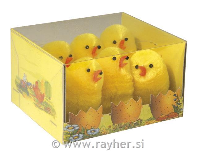 Piščančki kosmati, 5 cm, 6 kom.