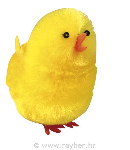 Piščančki kosmati, 5 cm, 6 kom.