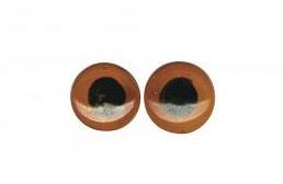 Očesa steklena, živalska, z zanko za šivanje, rjava, 10 mm, 10 kom.