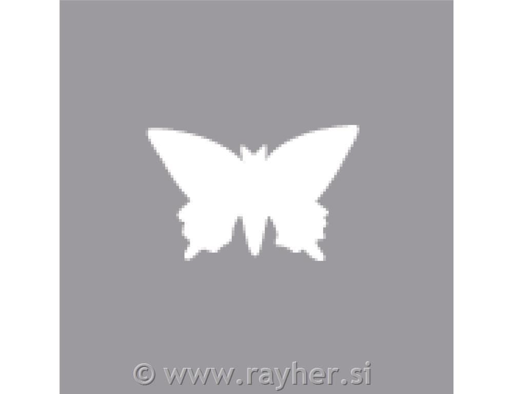 Luknjač, metulj, 1,6cm o