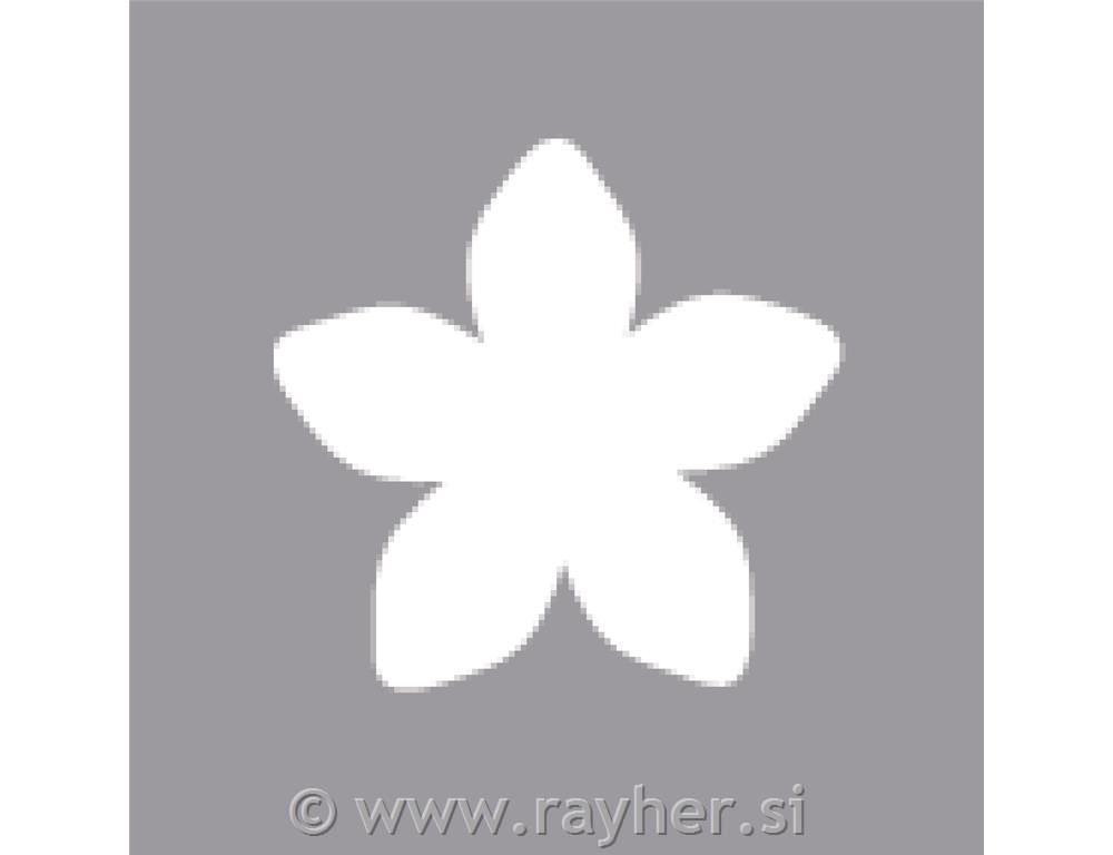 Luknjač, cvet, 2,54cm o