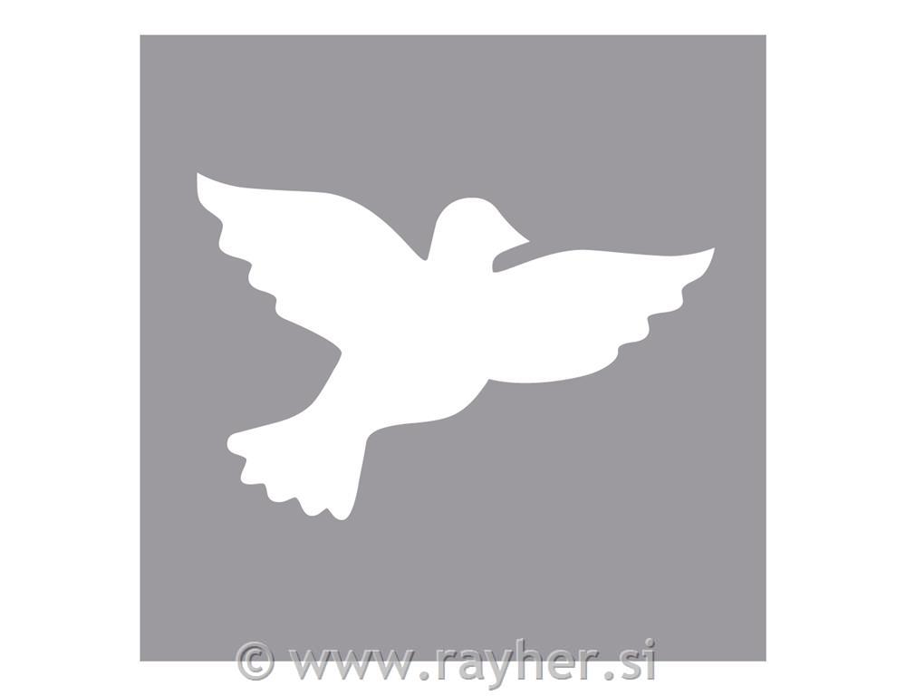 Luknjač, golob , 2,54cm