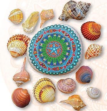 Knjiga A Year of Stone Painting