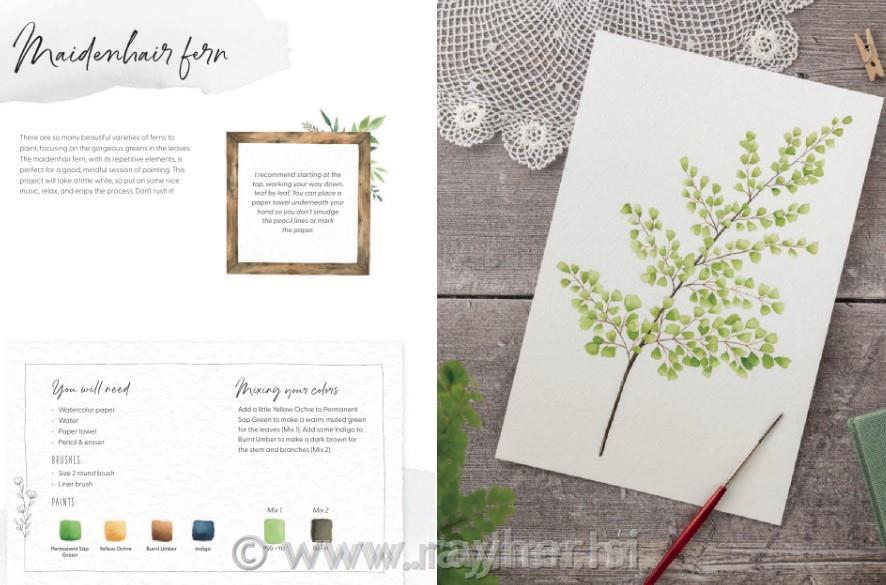 Knjiga Watercolor for the Soul