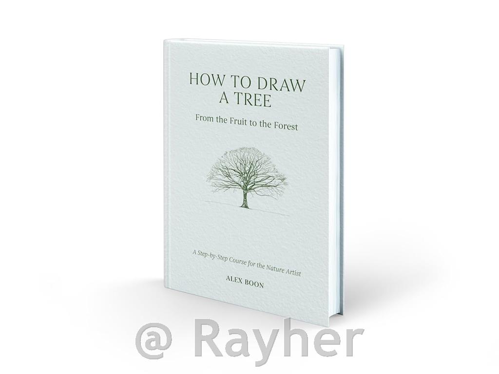 Knjiga How to Draw a Tree: From the Fruit to the Forest