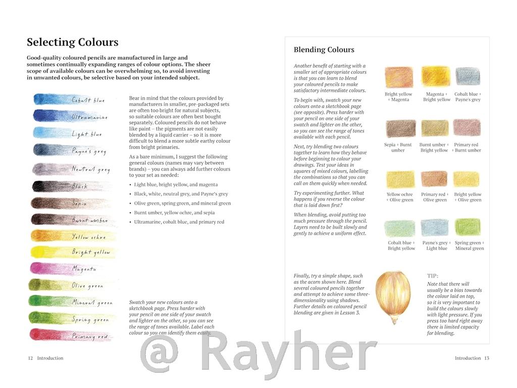 Knjiga How to Draw a Tree: From the Fruit to the Forest