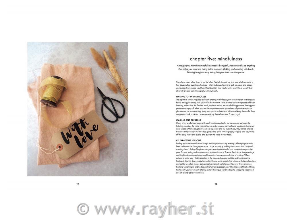 Knjiga Modern Brush Lettering