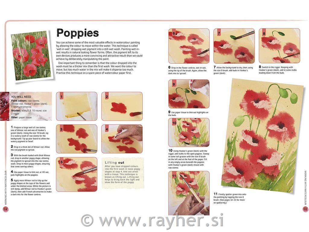 BOOK FLOWERS IN WATERCOLOUR