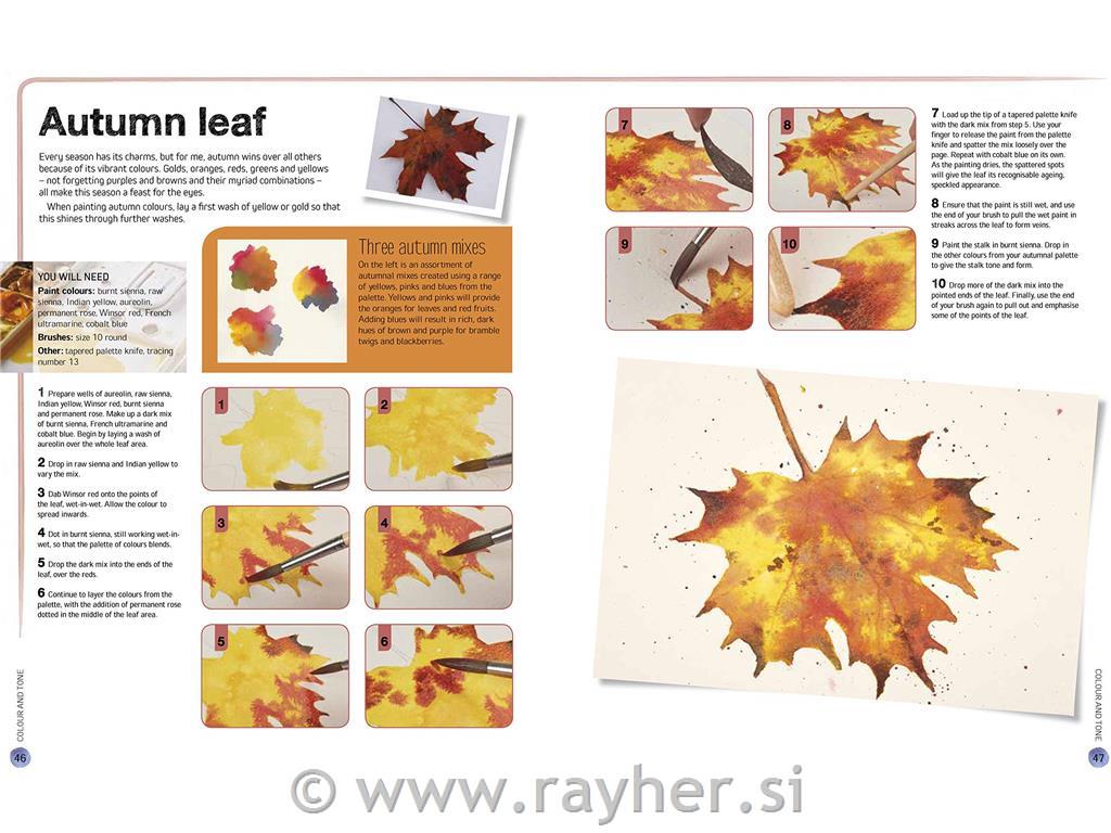 BOOK FLOWERS IN WATERCOLOUR