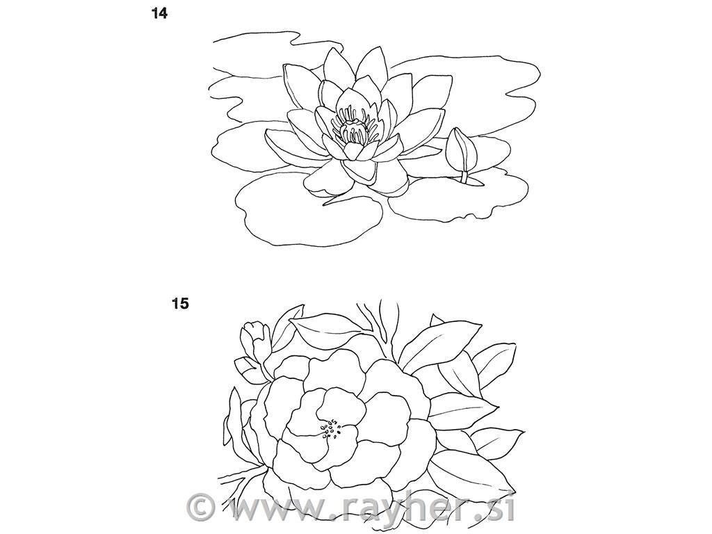 BOOK FLOWERS IN WATERCOLOUR