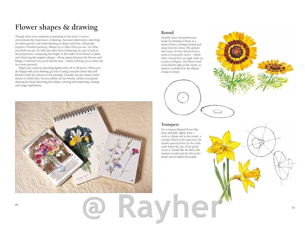 Knjiga Acrylic Painting Step by step