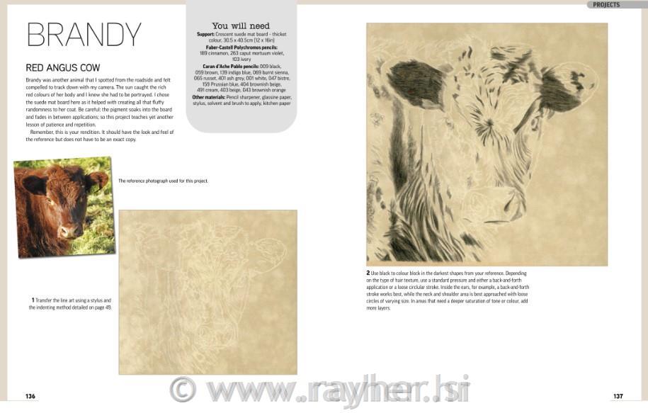 Book Drawing Animal Portraits inColoured Pencils