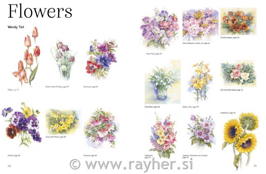 Book The Watercolour Sourcebook