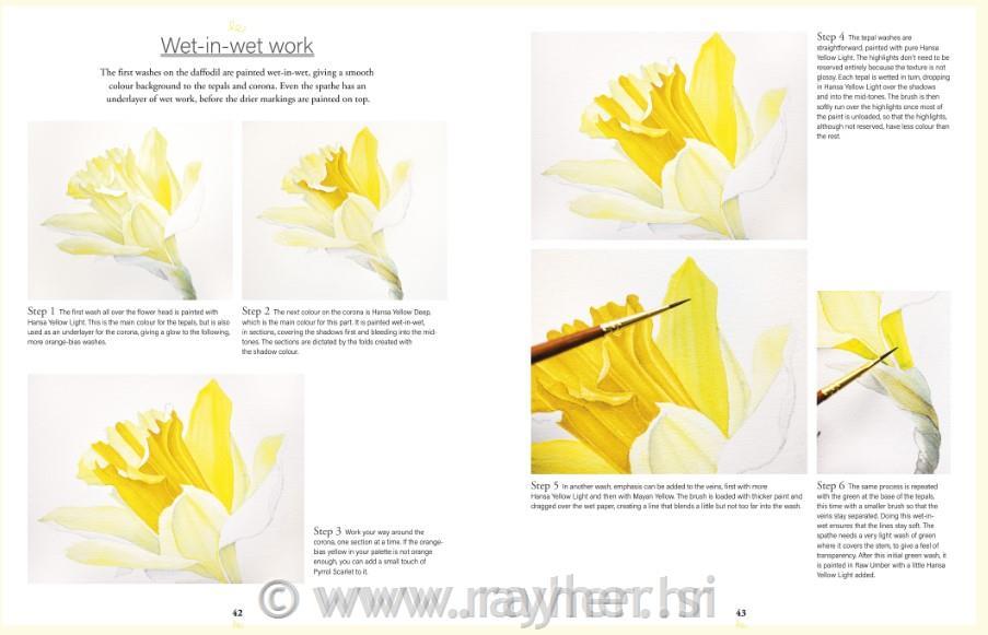 Book Botanical Watercolours