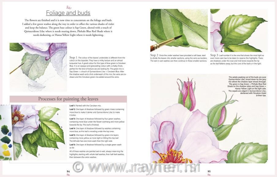 Book Botanical Watercolours