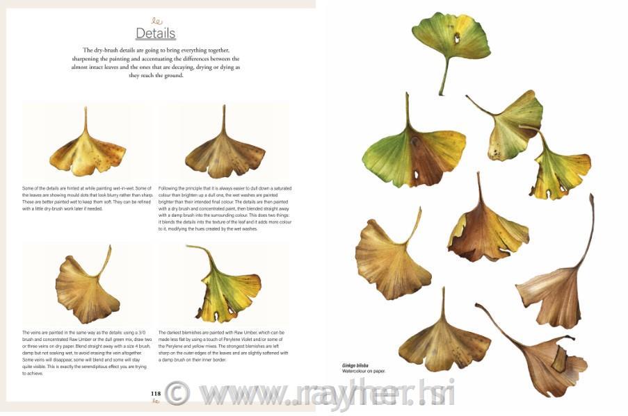 Book Botanical Watercolours