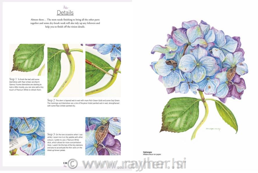 Book Botanical Watercolours