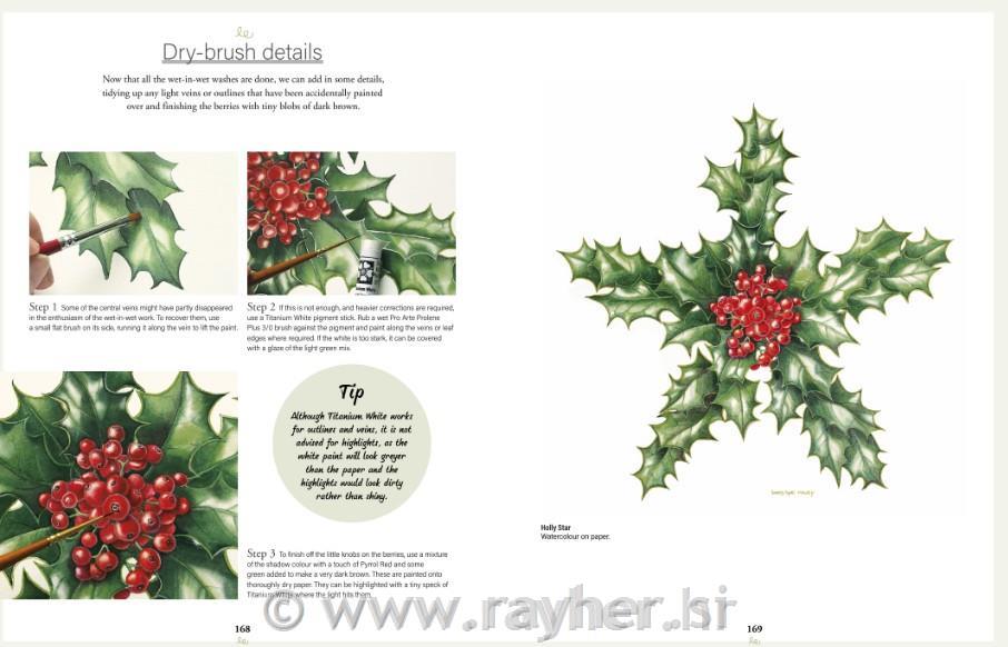 Book Botanical Watercolours