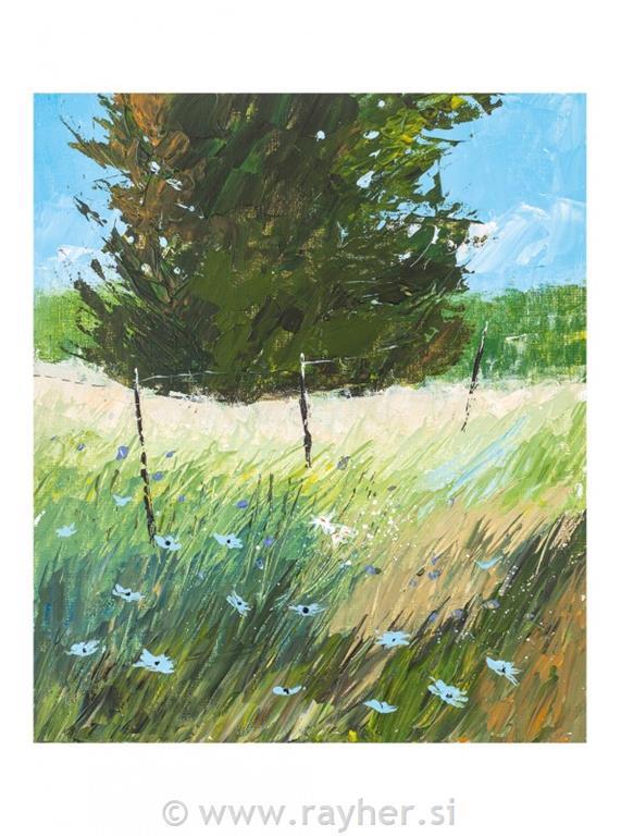 Knjiga Palette Knife Painting in Acrylics