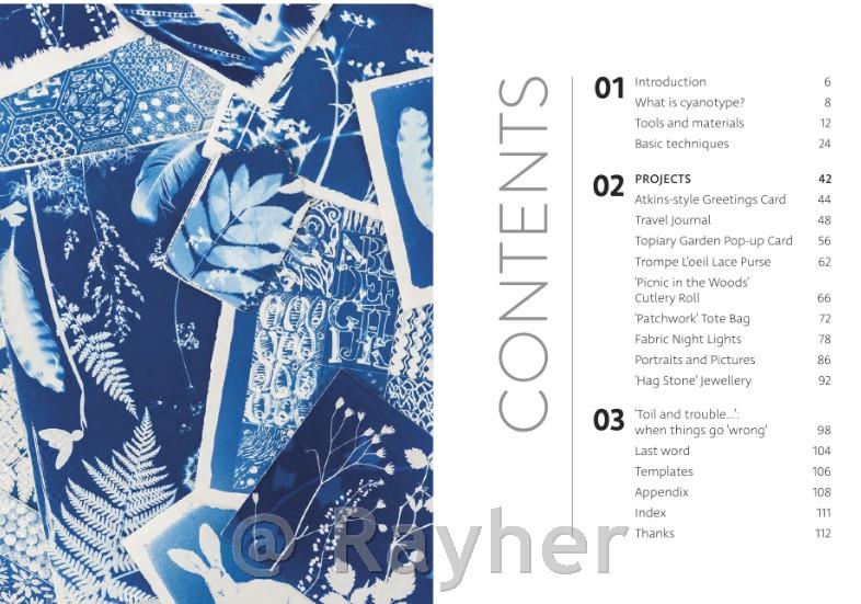 Knjiga Beginner’s Guide to Cyanotype