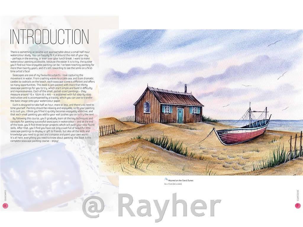 Knjiga Ready to Paint in 30 Minutes: Seascapes