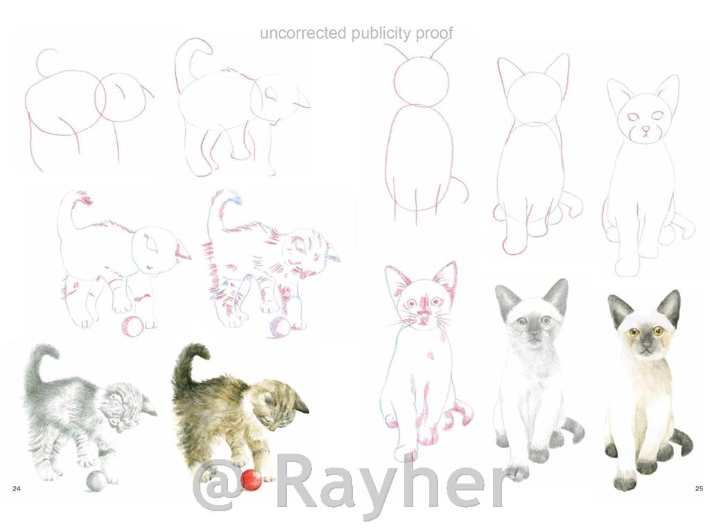 Knjiga How to Draw: Kittens