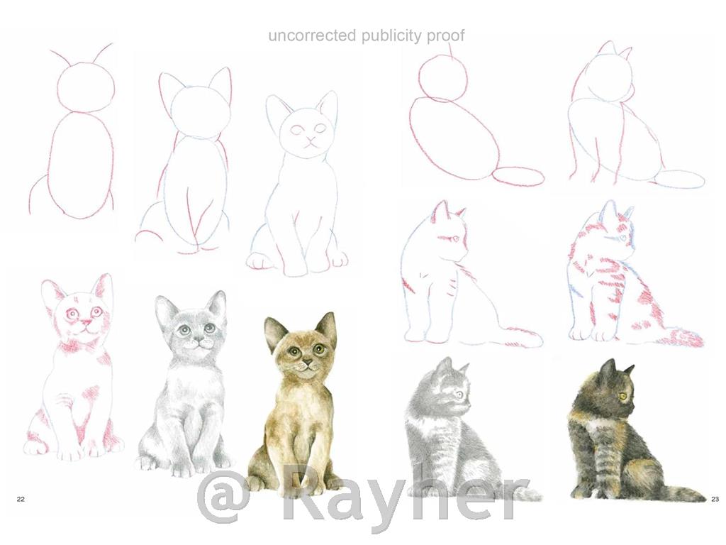 Knjiga How to Draw: Kittens