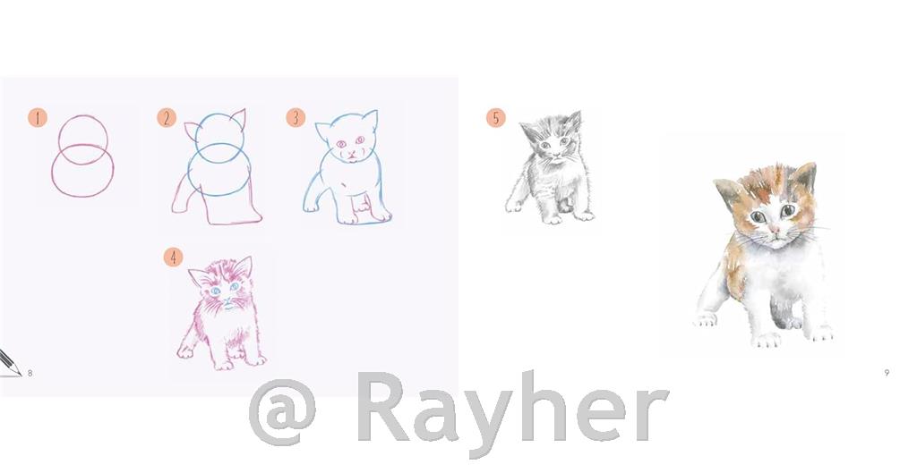 Knjiga Draw 30: Animals