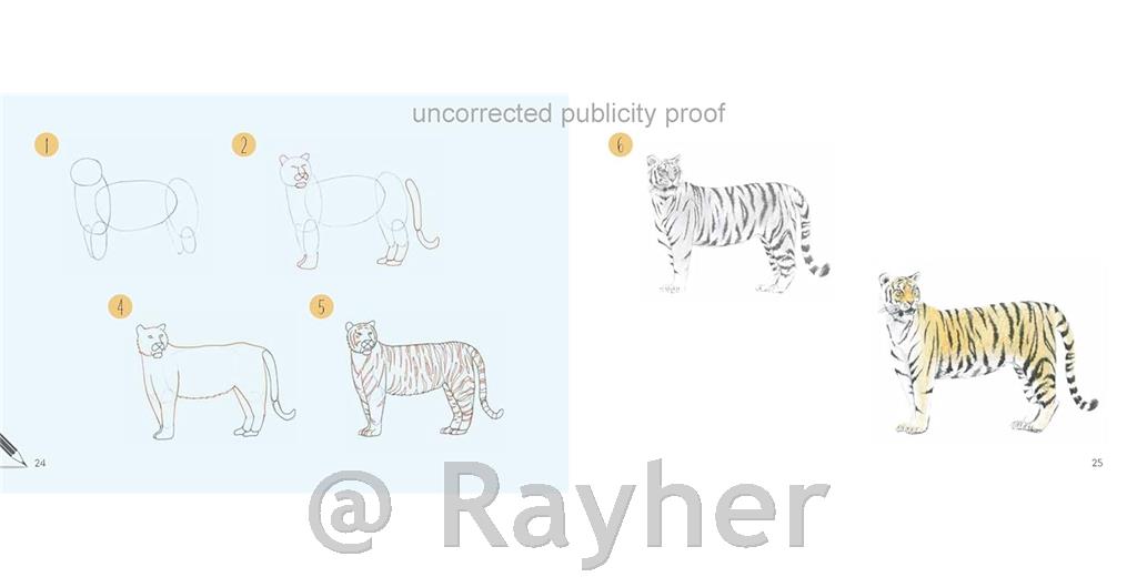 Knjiga Draw 30: Animals