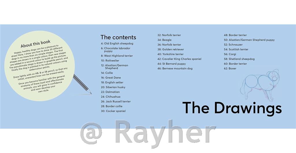 Knjiga Draw 30: Dogs