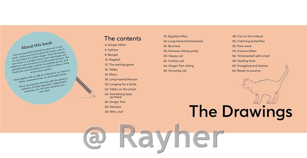 Knjiga Draw 30: Cats