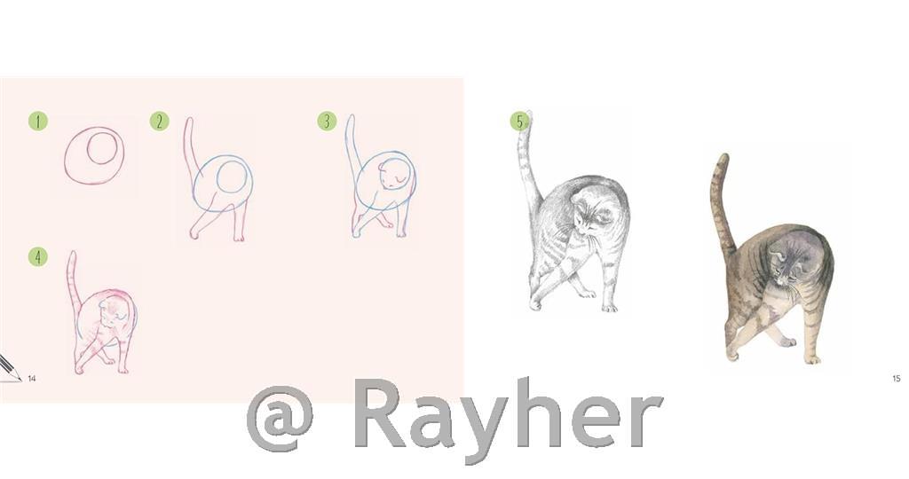 Knjiga Draw 30: Cats