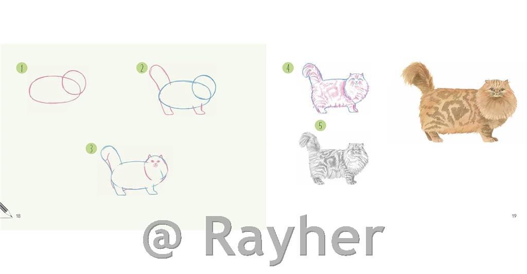 Knjiga Draw 30: Cats