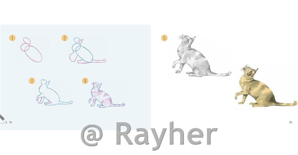 Knjiga Draw 30: Cats